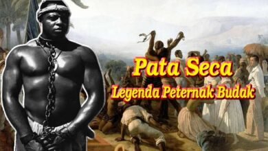 pata seca