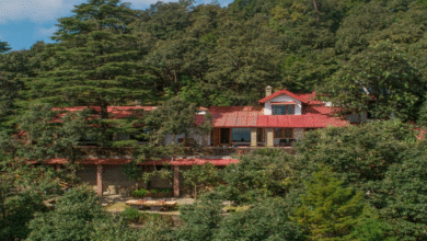  Best Resorts in Binsar Uttarakhand for a Serene Getaway