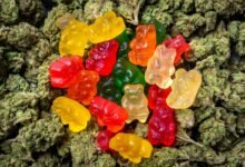 The Ultimate Guide to White Label THC Mints