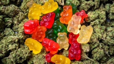 The Ultimate Guide to White Label THC Mints